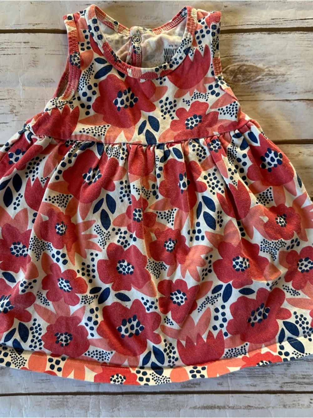 Winter water factory floral dress fair fade 6m